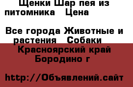 Щенки Шар пея из питомника › Цена ­ 25 000 - Все города Животные и растения » Собаки   . Красноярский край,Бородино г.